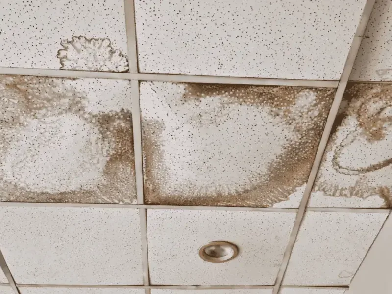 Water-stained acoustic tiles in the drop ceiling of a commercial space