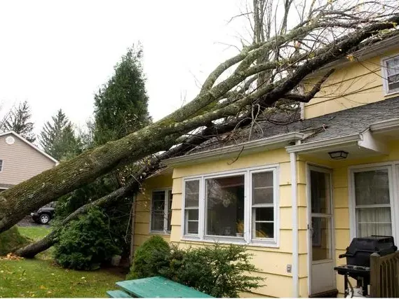 A large tree fallen across the roof of a yellow house after a storm
